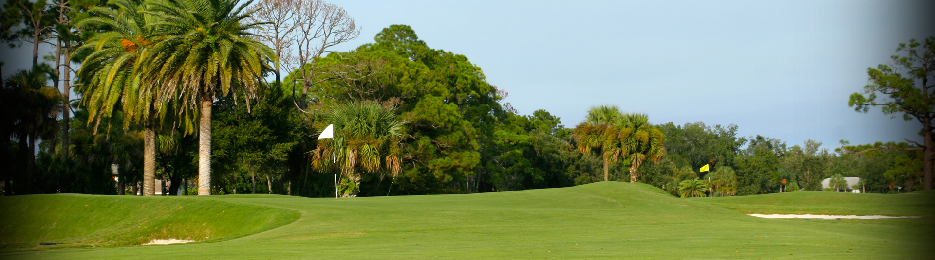 Home New Smyrna Golf Club